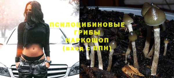 скорость Пересвет