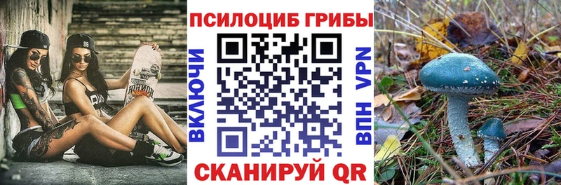 Галлюциногенные грибы GOLDEN TEACHER  где можно купить   Губкинский 