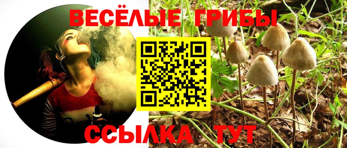 Псилоцибиновые грибы мицелий Губкинский