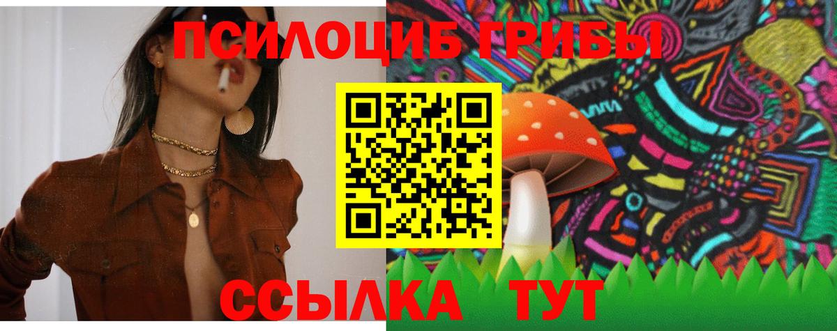 Губкинский  цена   Вход с VPN  Псилоцибиновые грибы Psilocybine cubensis 